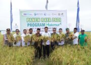 PT Pupuk Iskandar Muda Tingkatkan Hasil Pertanian Petani Dengan Pupuk Nonsubsidi