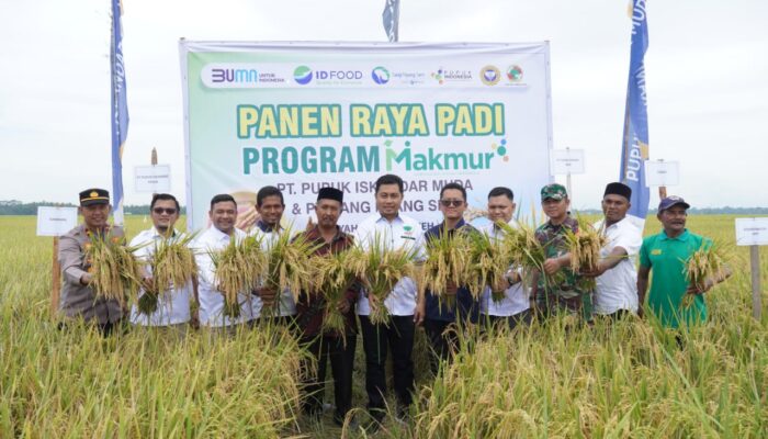 PT Pupuk Iskandar Muda Tingkatkan Hasil Pertanian Petani Dengan Pupuk Nonsubsidi