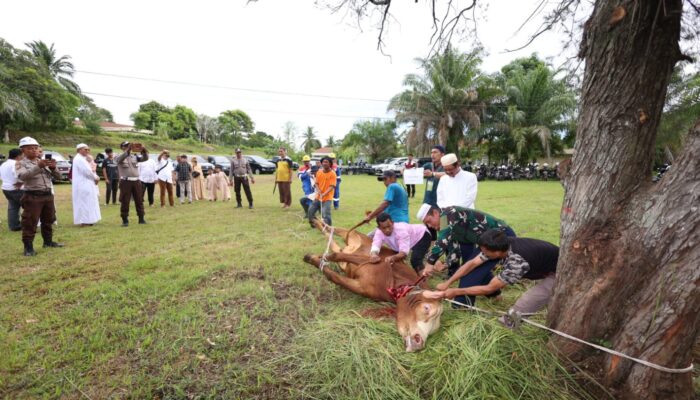 Perta Arun Gas dan Mitra Perusahaan Berbagi Hewan Qurban ke Masyarakat Desa Binaan