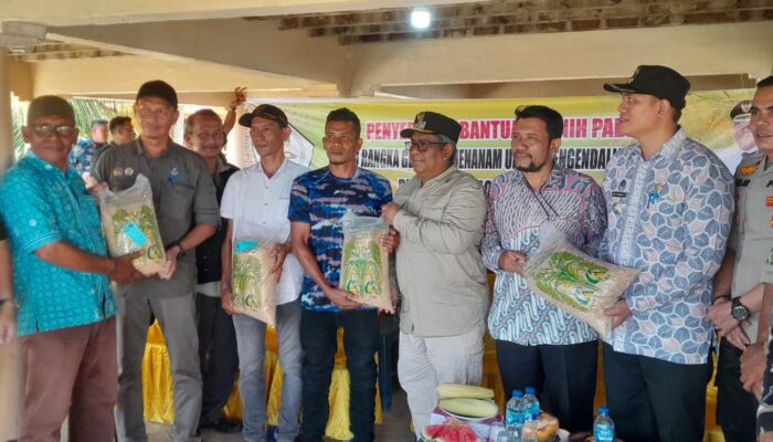 Pemkab Aceh Utara Salurkan Bantuan Benih Padi 58 Ton kepada Petani di Seputaran Krueng Pase