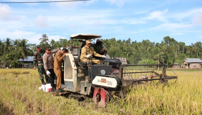 Panen Padi Bersama Istri, PJ Walikota Lhokseumawe: Petani Harus Untung dan Eksis Terus