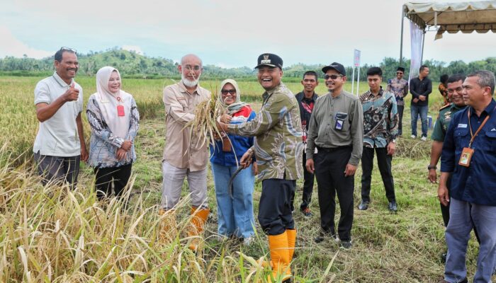 Imran Dorong Kontribusi BUMN dan Bank dalam Meningkatkan Kesejahteraan Petani di Kota Lhokseumawe