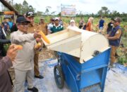 Pj Bupati Aceh Utara Panen Jagung Kering Pipil di Kuta Makmur