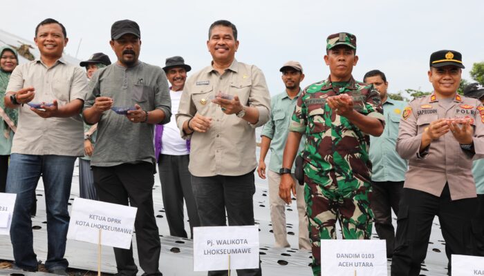 Dukungan Pemko Dorong Kelompok Tani Blang Buloh Tanam 10 Hektare Bawang Merah