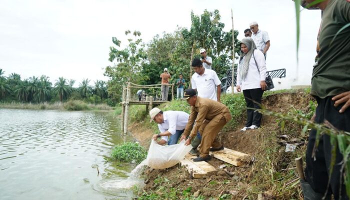 PT Perkebunan Nusantara 1 Regional 6 Cot Girek Aceh Utara Tingkatkan Perekonomian Rakyat