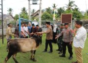 Pemko Lhokseumawe Salurkan Bantuan Hewan Qurban 