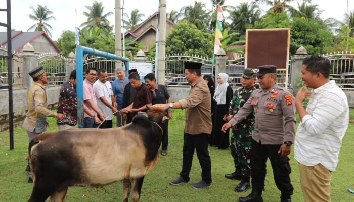 Pemko Lhokseumawe Salurkan Bantuan Hewan Qurban 