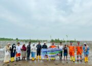 PT PIM Tanam 1000 Bibit Pohon Mangrove untuk Peringati Hari Mangrove Sedunia 2024