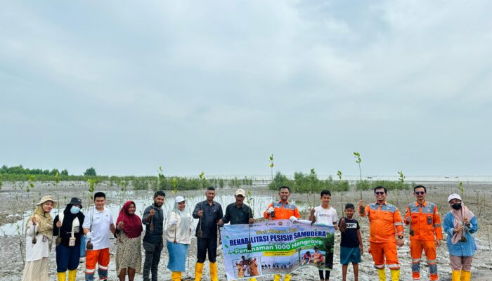 PT PIM Tanam 1000 Bibit Pohon Mangrove untuk Peringati Hari Mangrove Sedunia 2024