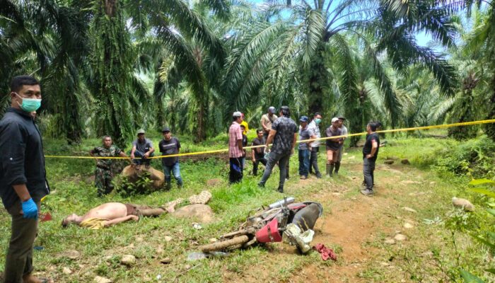 Penemuan Mayat Di Area PT Satya Agung